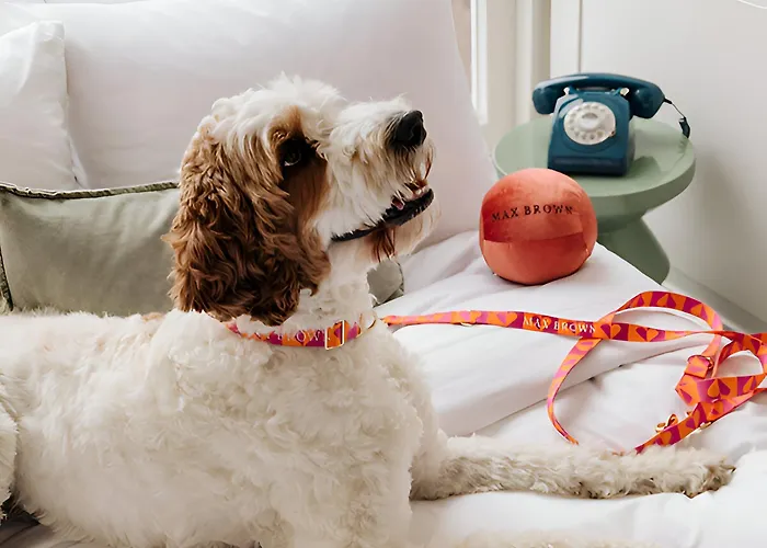 Max Brown Museum Square, Part Of Sircle Collection Amsterdam